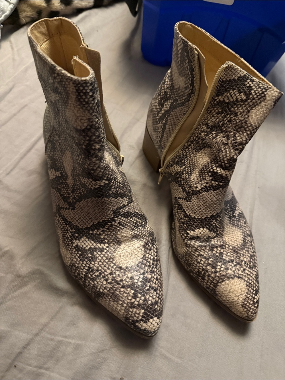 Cityclassified Snake-Print Pointed Ankle Boots in Beige and Black